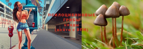 герыч Алексеевка
