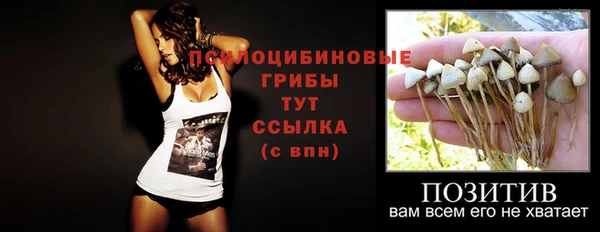 твердый Алзамай