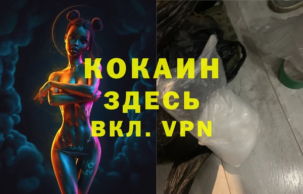 твердый Алзамай