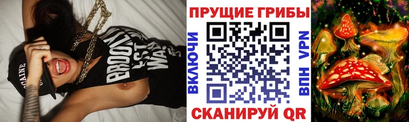 Галлюциногенные грибы прущие грибы  Клин 
